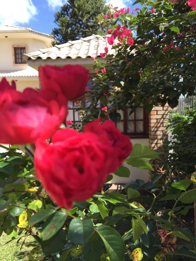 Villa Apart Hotel Lages Kültér fotó